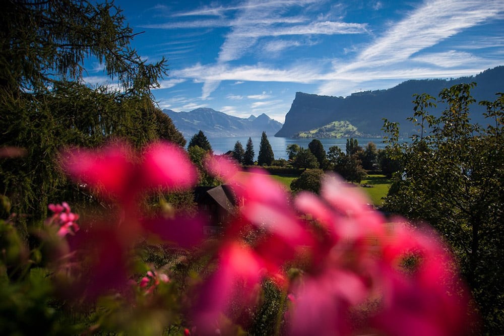 imi_switzerland_campus_view
